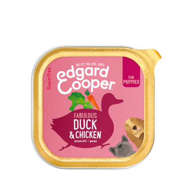 EDGARD & COOPER - PUPPY -...